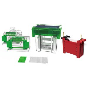 Sistema todo en uno de electroforesis y transferencia