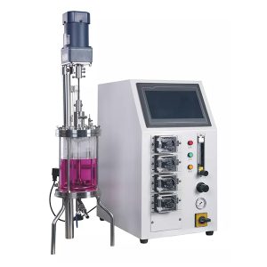 Reactor enzimático de vidrio