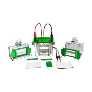 mini celda de electroforesis vertical