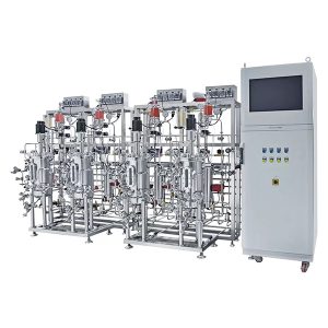 fermentador paralelo múltiple de acero inoxidable