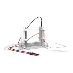 celda de electroforesis vertical